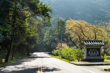 View of Yangjin Highway in Yangmingshan National Park, New Taipei City, Taiwan. There are beautiful natural landscapes along the road.