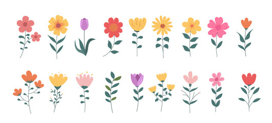 Hand drawn colorful floral spring element set collection on white background