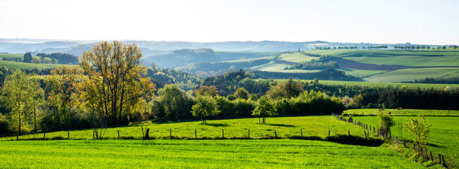 flowers and meadows in rolling hills of luxemburg countryside