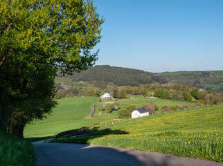 flowers and meadows in rolling hills of luxemburg countryside