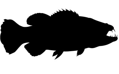 Silhouette vector of a fish predator.