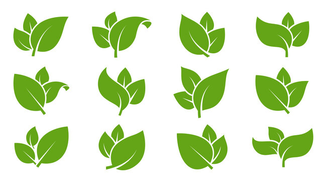 Eco green color leaf vector logo flat icon set. Isolated leaves shapes on white background. Bio plant and tree floral forest concept design.