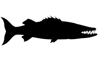 Silhouette vector of a fish predator.