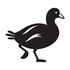 Crisp Coot silhouette with flowing shape – Coot illustration – Minimalist Coot vector – Bird silhouette – Bird vector

