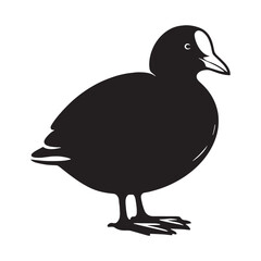 Coot silhouette in soft water reflection – Coot illustration – Minimalist Coot vector – Bird silhouette – Bird vector

