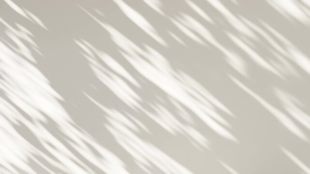木々の葉の間から差す光と影 木漏れ日 穏やかに吹く風