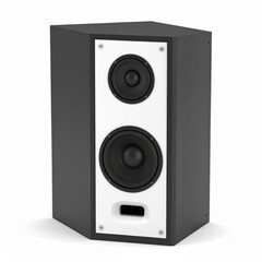 Obraz premium Black and White Two Way Speaker System