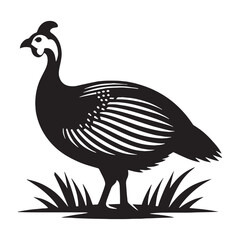 Subtle Guinea Fowl silhouette in soft profile – Guinea Fowl illustration – Minimalist Guinea Fowl vector – Bird silhouette – Bird vector

