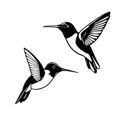 Hummingbird vector art, flying bird silhouette, tropical bird design, wild nature icon, exotic animal illustration	