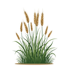 Fototapeta premium Illustration of a Lush Green Wheat Field with Golden Ears Swaying Gently in the Breeze
