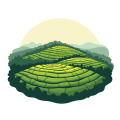 Scenic Tea Plantation Landscape with Green Terraces and Rolling Hills Vector Illustration