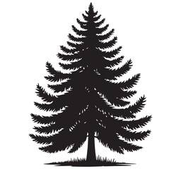 Fototapeta premium High Quality Simple Black Silhouette Vector Graphic Illustration of a Coniferous Evergreen Pine Tree Isolated on White