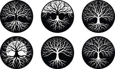 Root Round Shape Silhouette Vector Design
