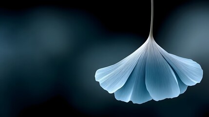Ethereal blue flower suspended in darkness, a botanical fantasy