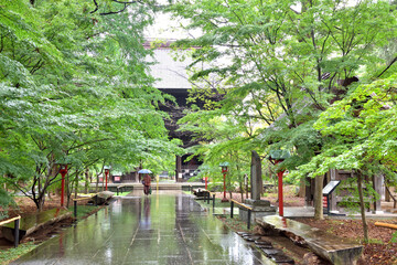 雨の日の九品仏浄真寺境内を歩く人