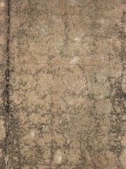 Weathered and textured concrete floor with a subtle seam.