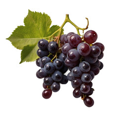 Fototapeta premium A bunch of red grapes with green leaves a healthy snack