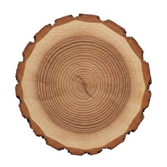 Tree cross section with growth rings isolated on transparent background