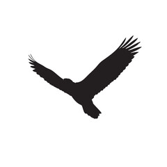 Obraz premium Black silhouette of Bald eagle, centered on plain white background, American Independence day theme, symbol, 4th july
