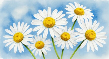 Daisy Flower with Blue Background