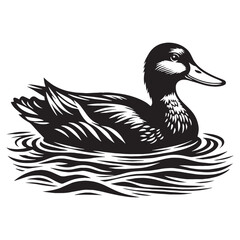 Detailed Mallard silhouette with soft curves – Mallard illustration – Minimalist Mallard vector – Bird silhouette – Bird vector

