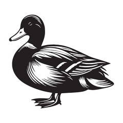 Graceful Mallard silhouette gliding – Mallard illustration – Minimalist Mallard vector – Bird silhouette – Bird vector

