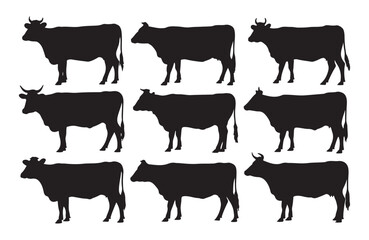 Set of black cow silhouettes for farm and agricultural themes.