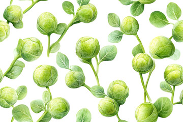 Pattern of realistic brussels sprouts on stems isolated on a white transparent background