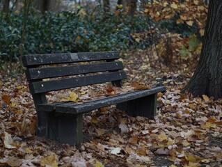 Quiet park bench with autumn leaves around, symbolizing break from noise and overstimulation