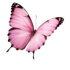 butterflies with wings color Deep pink. isolated on white background. tropical moths. template for design. Ai Generated Images