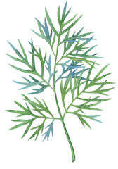 Green leaf with divided lobes stands out against a soft blurred green background