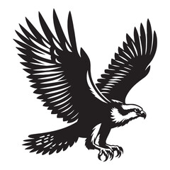 Sharp-eyed Osprey silhouette – Osprey illustration – Minimalist Osprey vector – Bird silhouette

