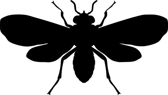 Silhouette of a sandfly, symmetrical front view, isolated, minimalist design










