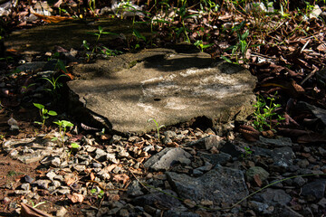 
Close-up of a weathered stone or concrete slab on rough ground, surrounded by small rocks and emerging green sprouts, lit by sunlight and symbolizing natural resilience.

