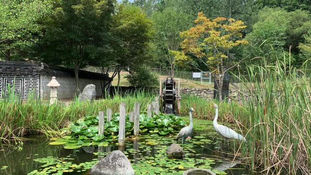 Pond with running water wheel and fake wooden birds at the third infiltration tunnel site. Korean Demilitarized Zone (DMZ). Paju, South Korea