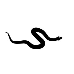 Snake silhouette 