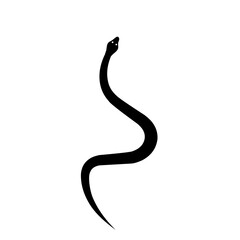 Snake silhouette 