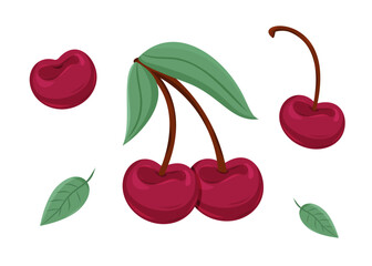 Cherry illustration with vibrant colors and detailed leaves, nature's beauty