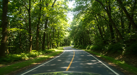 Scenic Drive Through Lush Green Forest Summer Road Trip Adventure