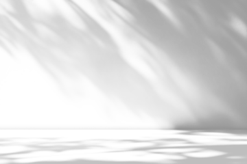 shadow overlay effects of realistic abstract natural tree leaves shadow on wall and floor background,Summer sunlight and shadow overlay effect,shadow for photo interior backdrop studio mockup