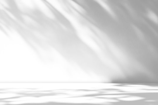 shadow overlay effects of realistic abstract natural tree leaves shadow on wall and floor background,Summer sunlight and shadow overlay effect,shadow for photo interior backdrop studio mockup