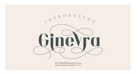 Elegant wedding alphabet letters font and number. Typography luxury classic lettering serif fonts decorative logo vintage retro concept. vector illustration