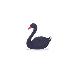 Obraz premium Cute black swan illustration