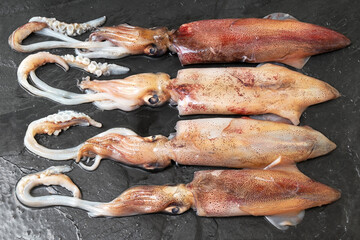 fresh squids close up on a slate board in kitchen ready to fry or cook