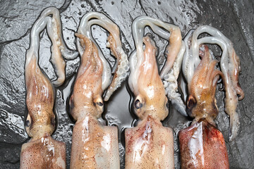 fresh squids close up on a slate board in kitchen ready to fry or cook