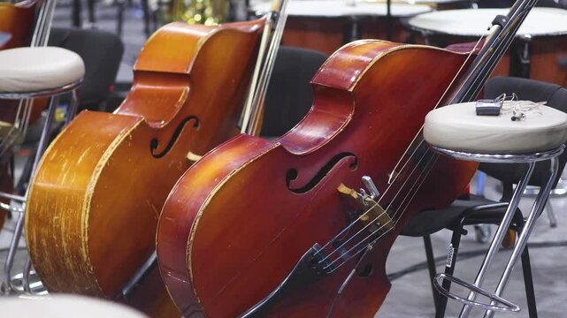 Concert view of contrabass violoncello player with vocalist and musical rock band during concert, jazz orchestra performing music, violoncellist cello jazz player on stage in a club, music arena hall