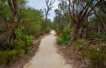 Scenic Cycling Gravel Road on Yaberoo Budjara Heritage Trail Through Australian Native Bush, Perth, Australia, 18 April 2020