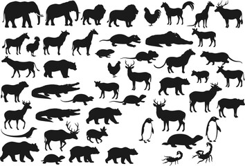 Fototapeta premium Silhouetted animal kingdom diversity