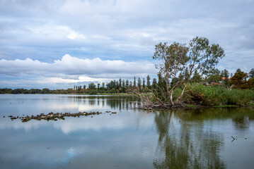 Tranquil Lake Monger Scene with Reflections and Lush Trees Under Cloudy Skies, Perth, Australia, 24 April 2020