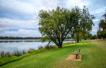 Serene Lakeside Park Scene Featuring a Bench, Large Tree, and Calm Water of Lake Monger, Perth, Australia, 24 April 2020
